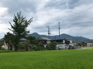 IMG_0227.jpg